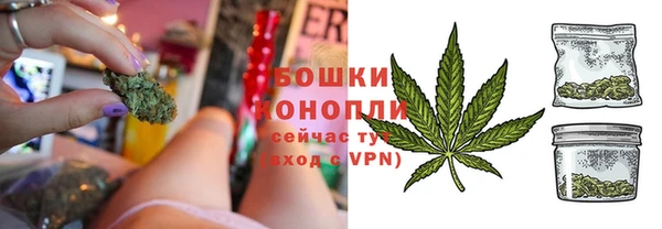 твердый Новодвинск