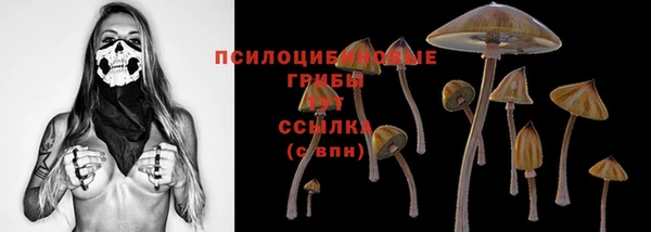 стаф Нефтекумск