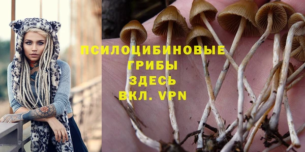стаф Нефтекумск