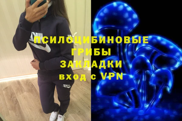 ешки Нефтегорск