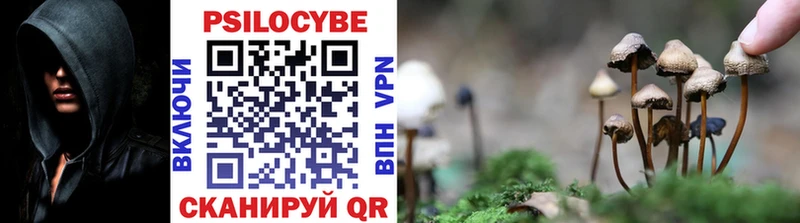 хочу наркоту  Лысково  omg   Галлюциногенные грибы мицелий 