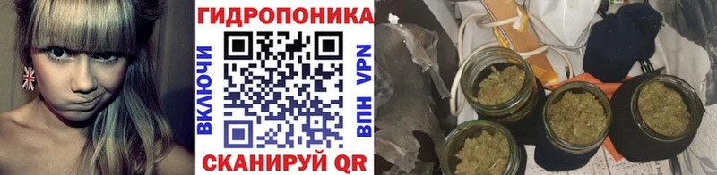 Шишки марихуана AK-47  даркнет сайт  Лысково 